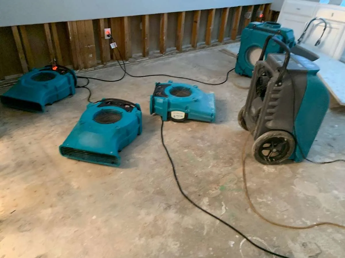 Leak Detection & Repair in Olivarez, TX